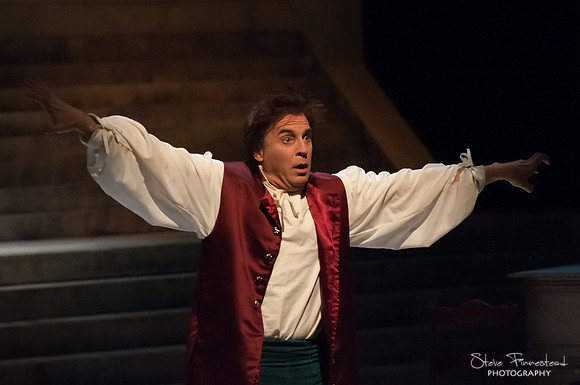 Amadeus-1529