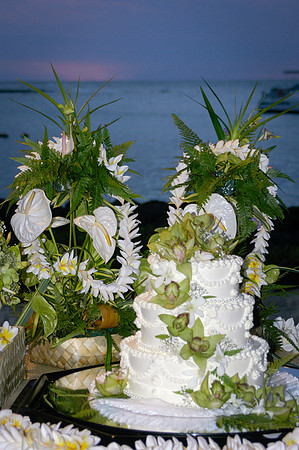 Annie & John's Wedding