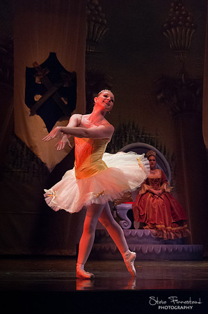 Sleeping Beauty-1148