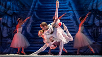 Nutcracker-8645
