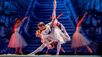 Nutcracker-8645